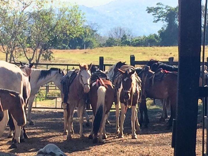 Hotel Hacienda El Rodeo Vueltas Exteriér fotografie