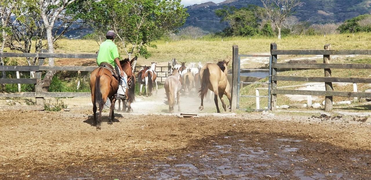 Hotel Hacienda El Rodeo Vueltas Exteriér fotografie