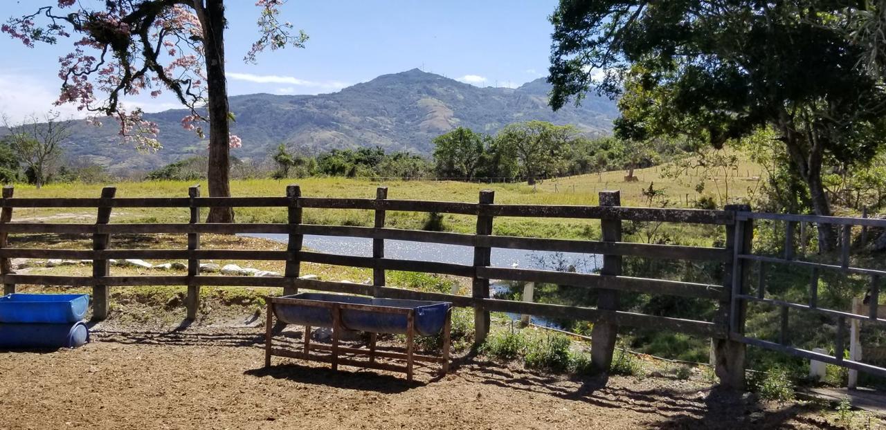 Hotel Hacienda El Rodeo Vueltas Exteriér fotografie